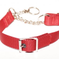 Webbing Collar With Buckle, Red