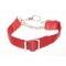 Webbing Collar With Buckle, Red
