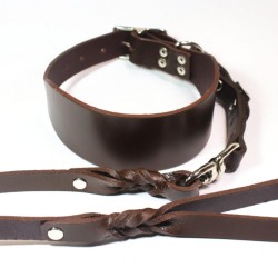 Greyhound Collar and Lead Set